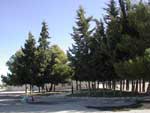Portal de Requena